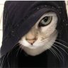 ㄌㄩㄝ's profile picture