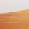 Oman93's profile picture
