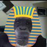 fuck you profil fotoğrafı