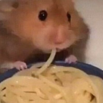 Ashley 🐹🍜's profile picture