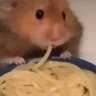 Ashley 🐹🍜 的头像