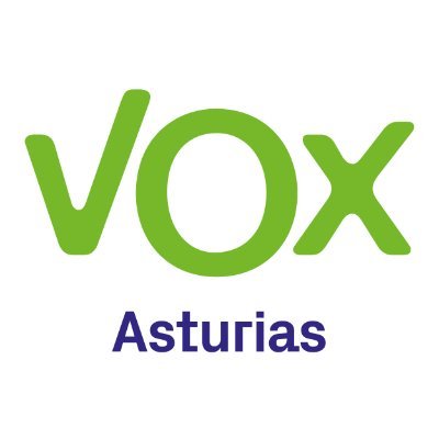VOX Asturias's profile picture