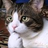 Yana profil fotoğrafı