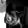 beth profil fotoğrafı