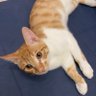 SaltW profil fotoğrafı