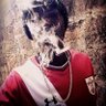 məšhįfťə profil fotoğrafı