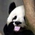 晚了廿年 (セットー団💙☠️💙)'s profile picture