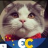 Пухнастий українобот 🇺🇦⚓️'s profile picture