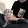 空窗's profile picture