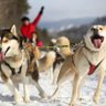 Фото профиля dogsled1569