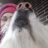 Элла Кацнельбоген's profile picture