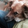 Fernwood Freddie's profile picture
