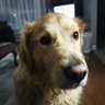 heyfling profil fotoğrafı