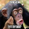 Люстрацию Вам Принес 的头像