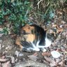 jaymay-chaton profil fotoÄrafı