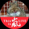 Profilbild von もふもふ