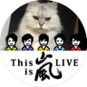 ももにゃん 的头像