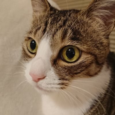 うーさん通信。's profile picture