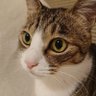 うーさん通信。 profil fotoğrafı