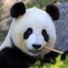 Kyzon260's profile picture