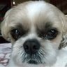 弘良's profile picture