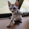 莉緒 profil fotoğrafı