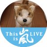 明日香's profile picture