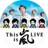 嵐巻き起こすまなっこ🌿 profil fotoğrafı