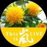 さな's profile picture