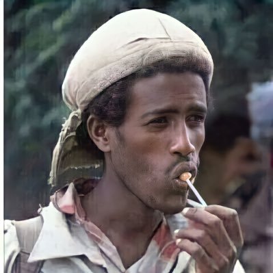DilNaodA's profile picture