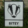 Grumpy Badger profil fotoğrafı