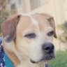 Profilbild von Captain Jenko