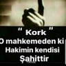 Hasretim Özlemim's profile picture