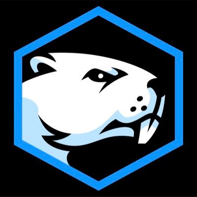 Battle Beaver's profile picture