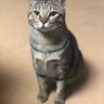 ロコ profil fotoğrafı