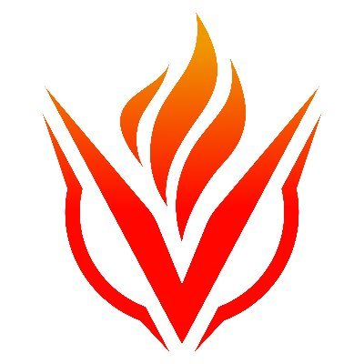 VigorLabs's profile picture