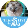 Profilbild von sato💙🇯🇵2020.12.31ARASHIと共に🍀🌈💕