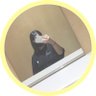 た の 。専's profile picture