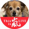 コラショ's profile picture