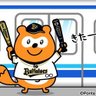 kazkaz　ドラ☆ぽん profil fotoğrafı