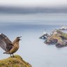 Фото профиля DementedBonxie