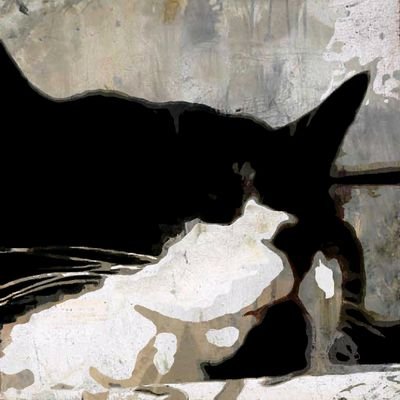 JonHawkes275's profile picture