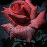 Фото профиля Julio Moreno