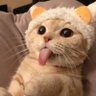 Synrahx's profile picture