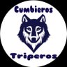 Profilbild von cumbieros y triperos22