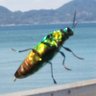 Фото профиля おにごんセカンド