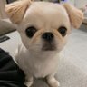Profilbild von ひらりん