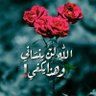 📘لـِ أحلام قلبي يارب📘💙 的头像