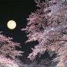 青空でした profil fotoğrafı