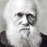 Profilbild von İnan Akmugan